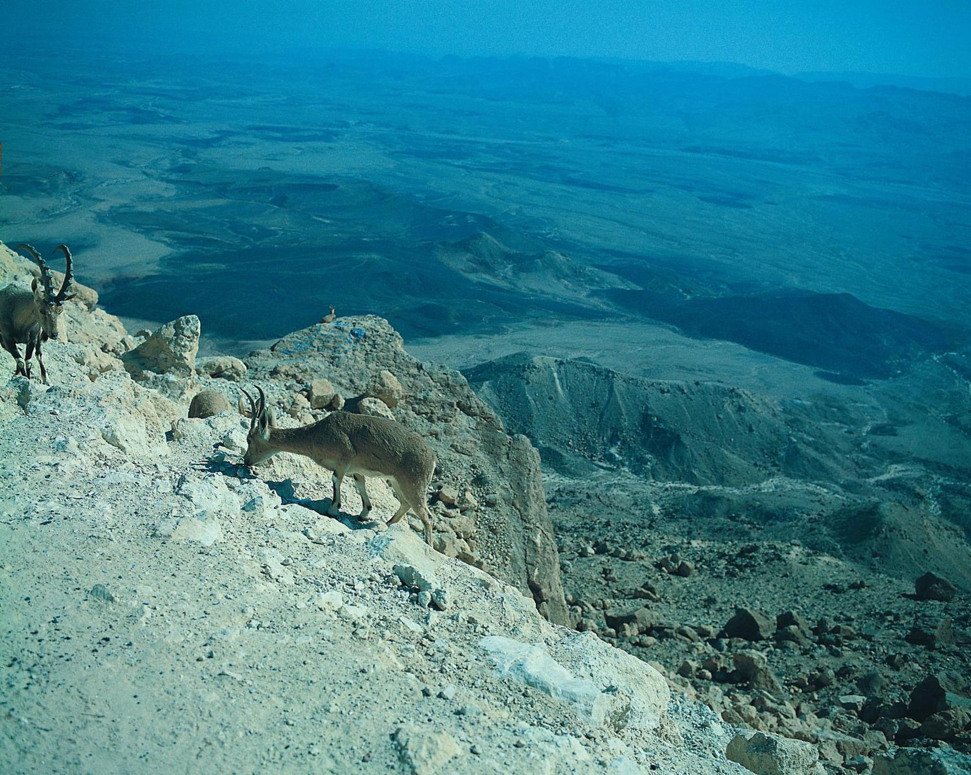 Ramon Inn By Isrotel Collection Mitzpe Ramon Exterior photo