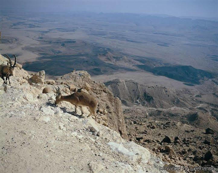 Ramon Inn By Isrotel Collection Mitzpe Ramon Exterior photo